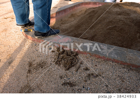 公園砂場の糞害 公園砂場の糞害 38424933