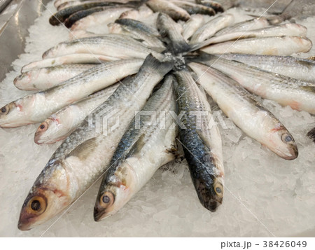 fish for sell fish for sell 38426049