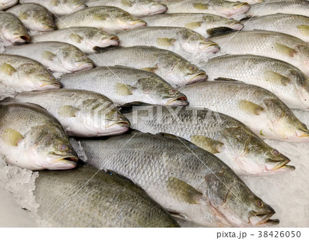 fish for sell fish for sell 38426050