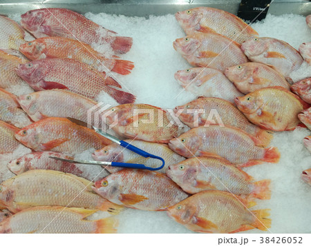 fish at market fish at market 38426052