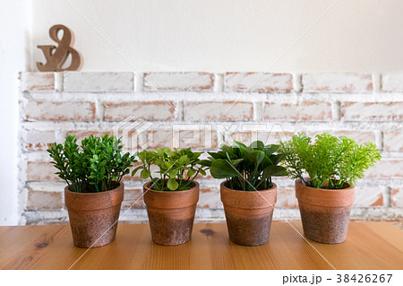 Four artificial plants in clay pot on wooden table Four artificial plants in clay pot on wooden table 38426267