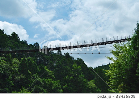 緑と青空と吊橋 38426809
