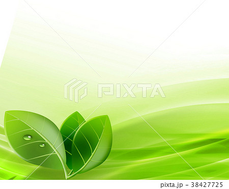 エコロジー背景　成長　エコ　自然環境　省エネ　若芽 38427725
