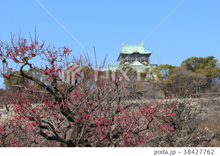 大阪城梅林 大阪城梅林 38427762