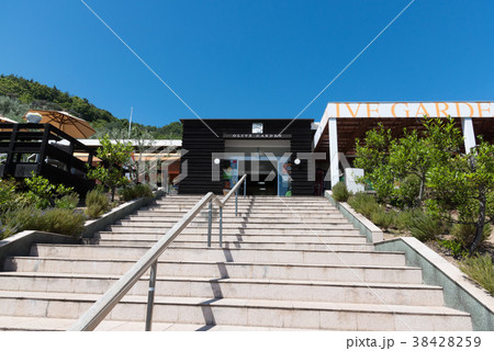 小豆島オリーブ園 38428259