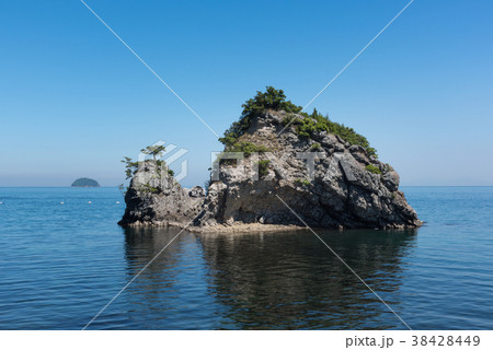 花寿波島 38428449