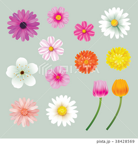 Set of spring flowers colorful isolated background Set of spring flowers colorful isolated background 38428569