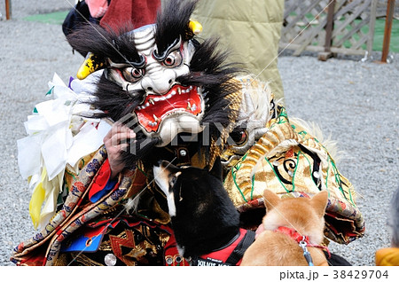 愛犬家 愛犬家 38429704