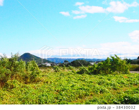 山 山 38430032