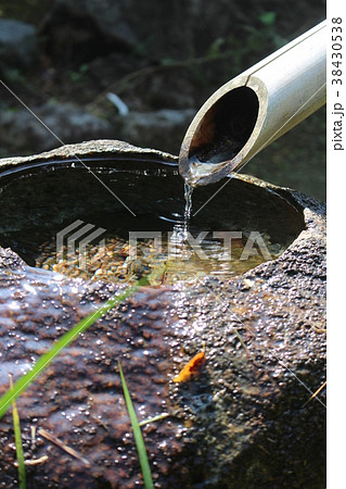 日本庭園(つくばい) 日本庭園(つくばい) 38430538