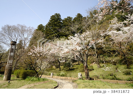 偕楽園 偕楽園 38431872