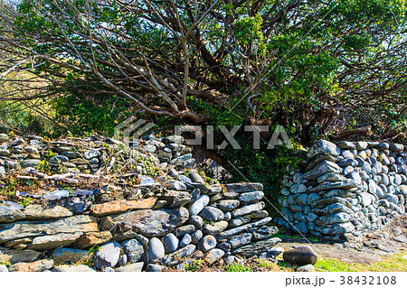 外海石積集落景観　出津浜の石築地　ながさきサンセットロード　【長崎県長崎市外海町】 38432108