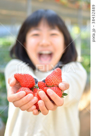 イチゴ狩りを楽しむ女の子(イチゴにフォーカス) イチゴ狩りを楽しむ女の子(イチゴにフォーカス) 38432889