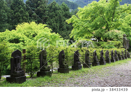 新緑と石仏 38433439