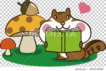 Squirrel reading a book 1 Squirrel reading a book 1 38433880