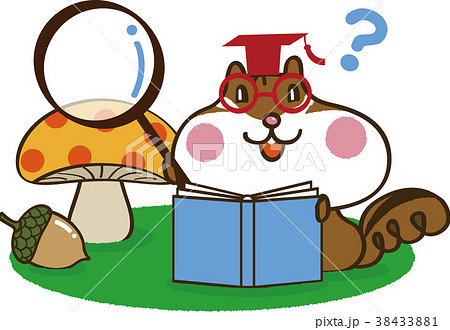 本を読むリス 2 38433881