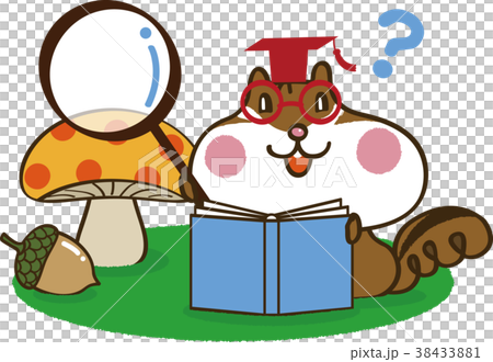 本を読むリス 2 38433881