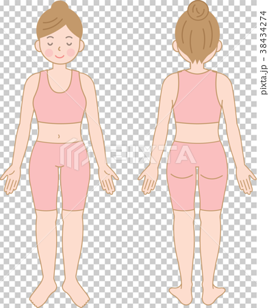 Female body whole body - Stock Illustration [38434274] - PIXTA