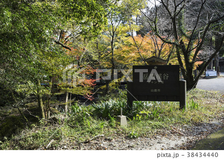 岳間渓谷 38434440