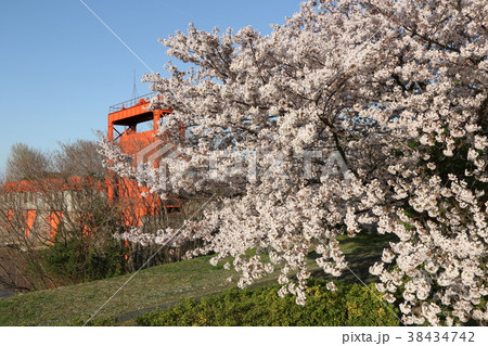 満開のソメイヨシノと赤羽旧岩淵水門(赤水門) 満開のソメイヨシノと赤羽旧岩淵水門(赤水門) 38434742