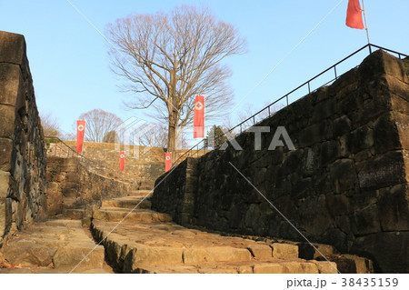 金山城跡 38435159