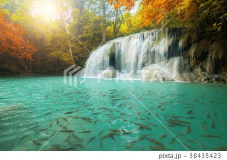 Erawan Waterfall beautiful waterfall in rainforest 38435423