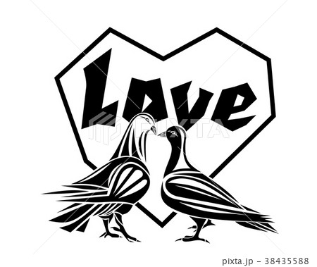 Love and pigeons 38435588