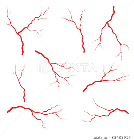 Human Vein Vessel Set Vector Symbol Icon Design のイラスト素材