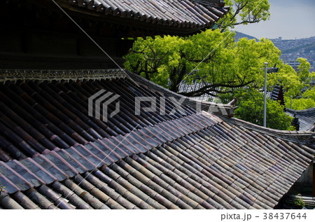 聖福寺(長崎市) 聖福寺(長崎市) 38437644