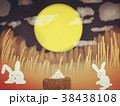 月見うさぎ 38438108
