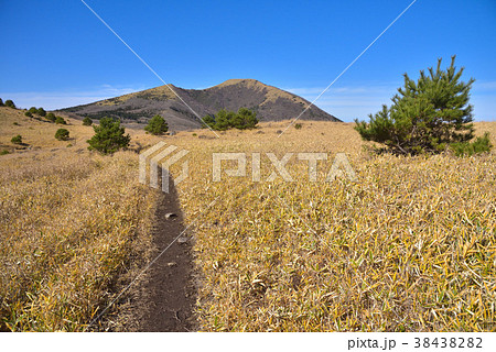涌蓋山へ至る登山道 38438282
