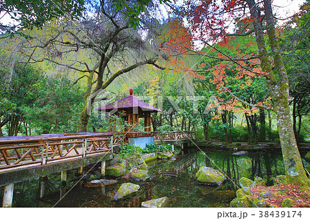 湖 景色 風景 38439174