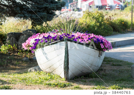 Old wooden boat used as a large flower pot Old wooden boat used as a large flower pot 38440763
