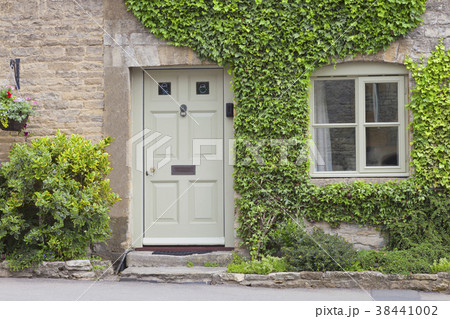 Wooden doors to a house with climbing ivy, shrubs 38441002