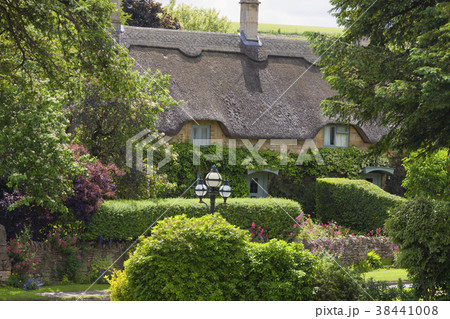 thatched roof English cottage in flowering garden 38441008