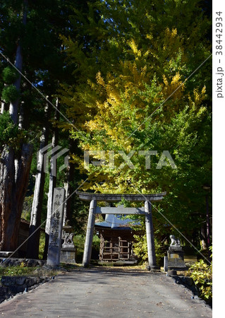 五箇山 相倉合掌造り集落 地主神社 紅葉 五箇山 相倉合掌造り集落 地主神社 紅葉 38442934