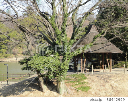 公園の休憩所 38442999