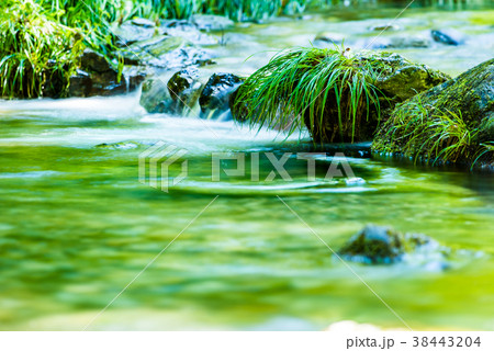 夏の渓流 38443204