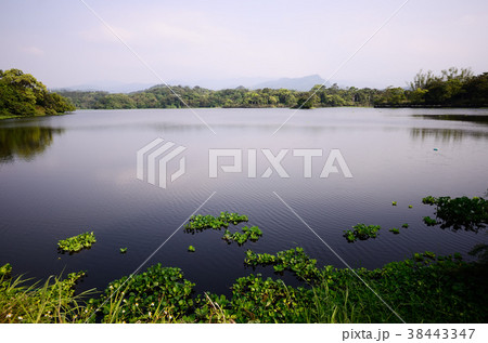 新竹 夕 宵 38443347