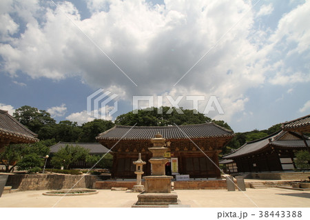 空 大雄殿 38443388