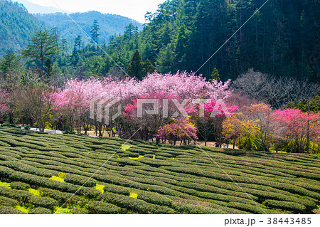 台湾 台中市 台中 38443485