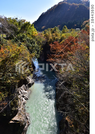 手取峡谷　黄門橋からの紅葉 38443690