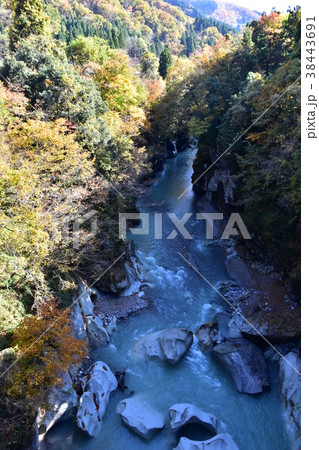 手取峡谷　不老橋からの紅葉 38443691