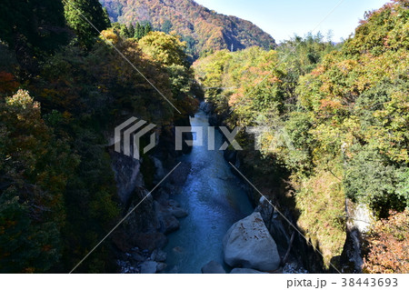 手取峡谷　不老橋からの紅葉 38443693