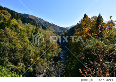手取峡谷 綿ヶ滝 紅葉 手取峡谷 綿ヶ滝 紅葉 38443694