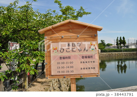 彦根城 38443791