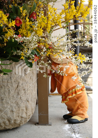 鯉幟が泳ぐ川　瀬戸川 38444062
