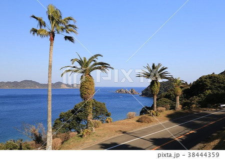 道の駅なんごう（宮崎県） 38444359