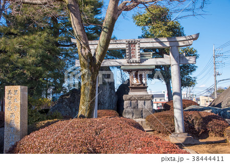 　川越市　白山権現　喜多院山門前 38444411