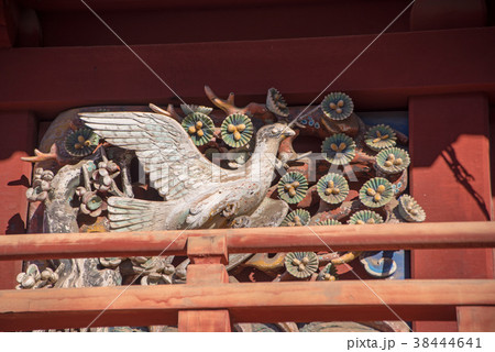 喜多院 鐘楼門 国指定重要文化財 川越市 喜多院 鐘楼門 国指定重要文化財 川越市 38444641